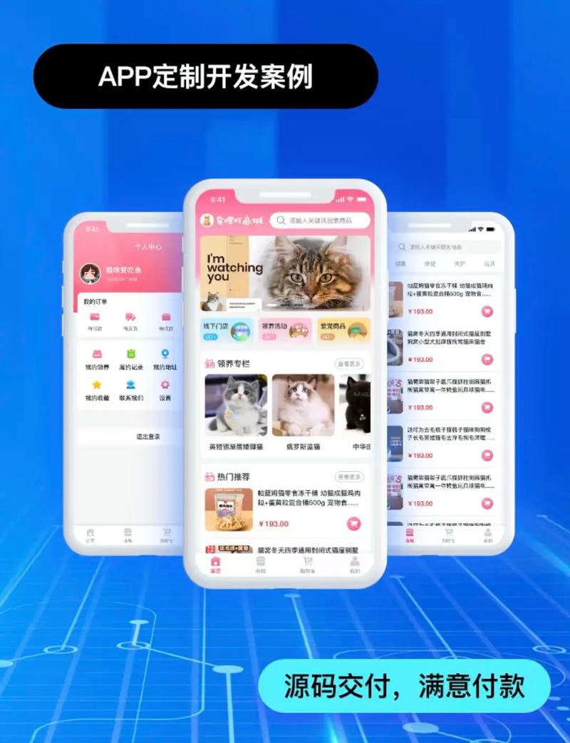 鸿蒙开发全流程揭秘：如何用一次编码实现多平台部署？(1)